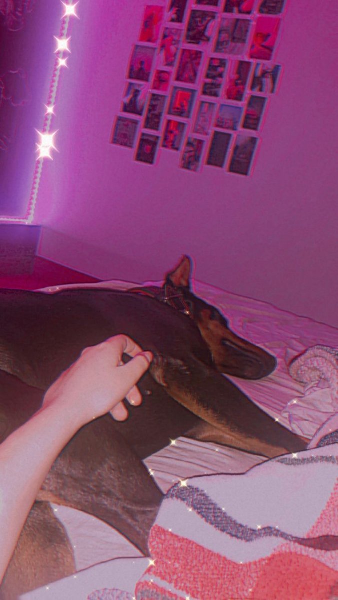 Доберман сохры