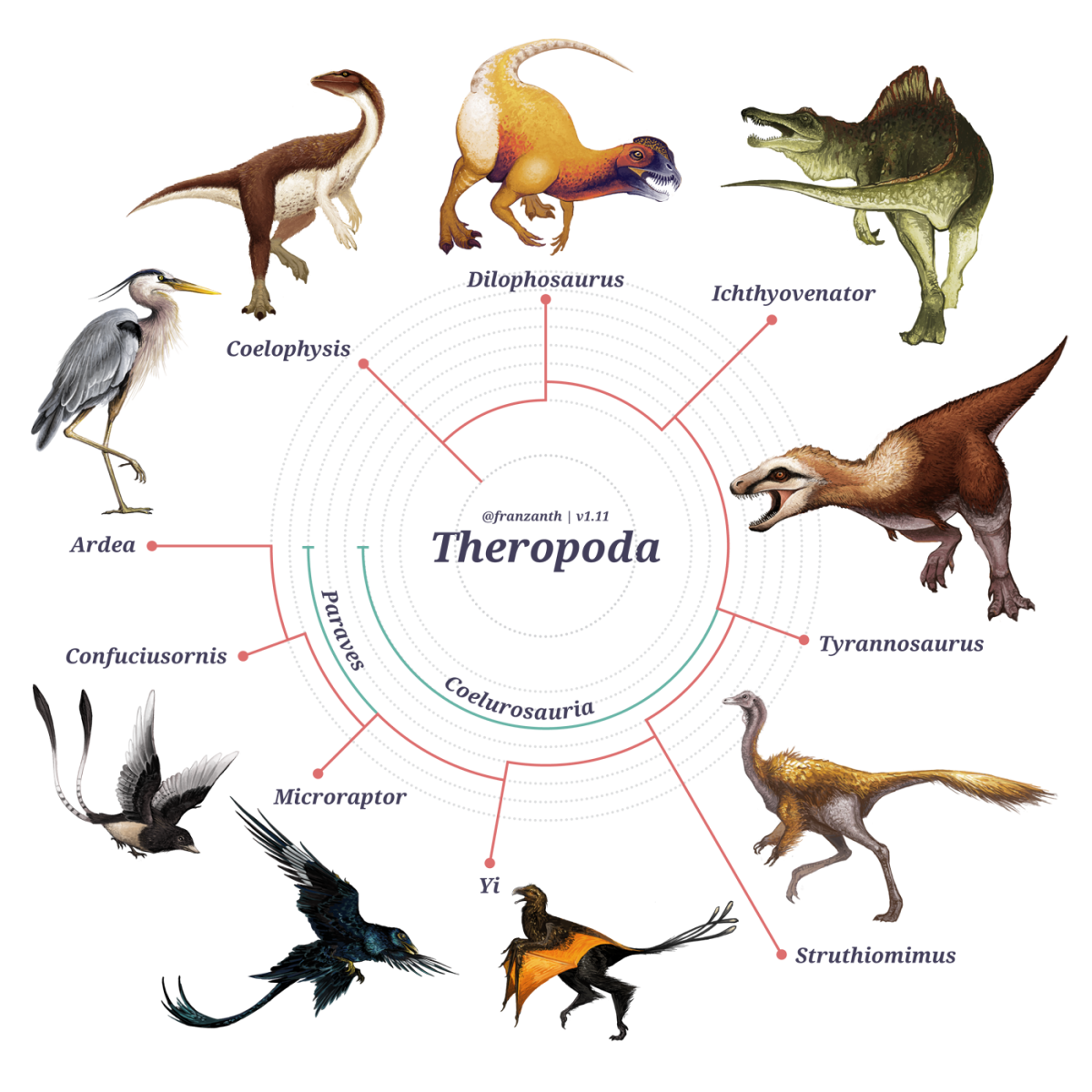 Перелетные птицы СПБ И Ленобласти