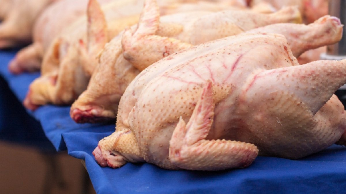 Креативная реклама курицы