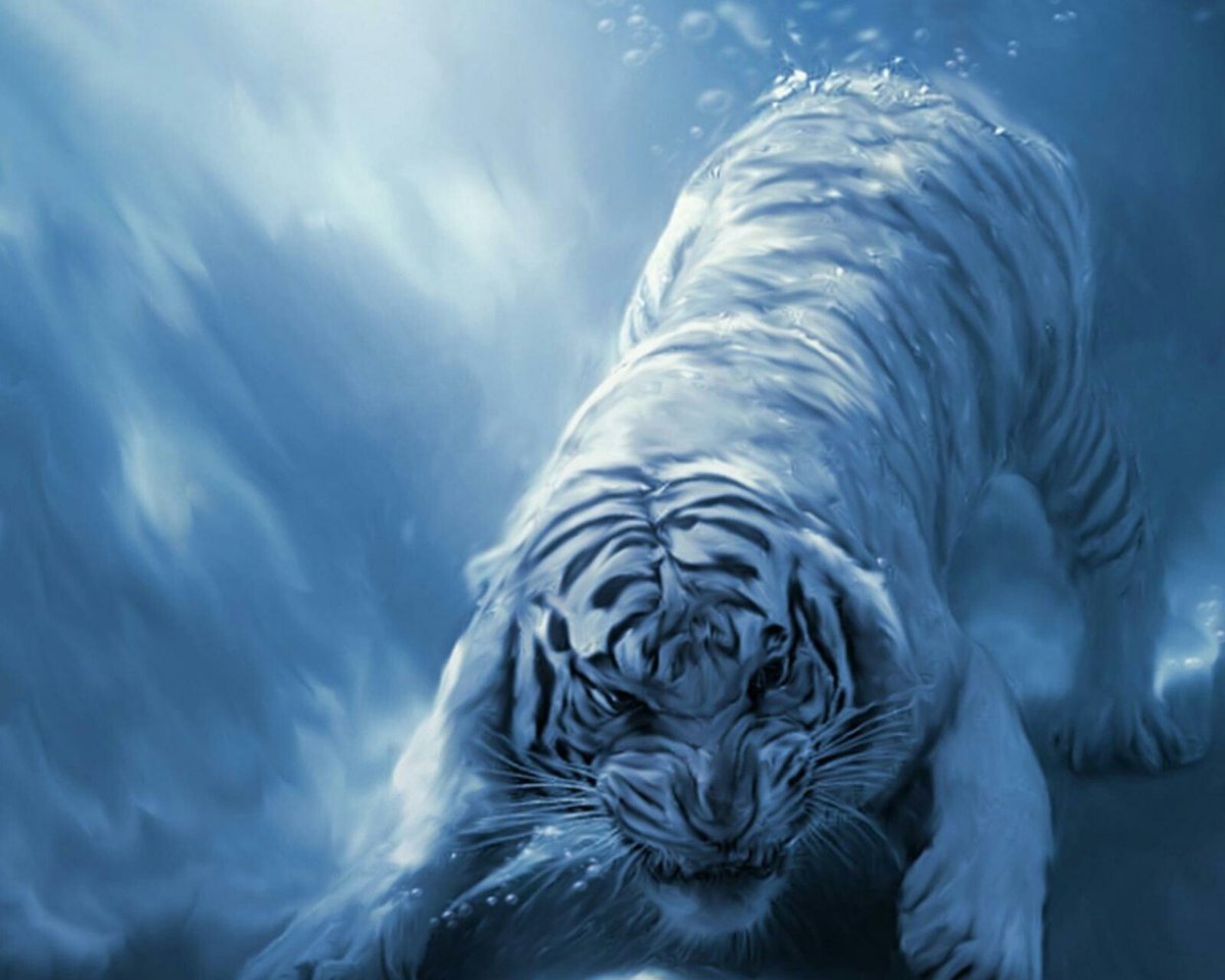 Гордый тигр купается