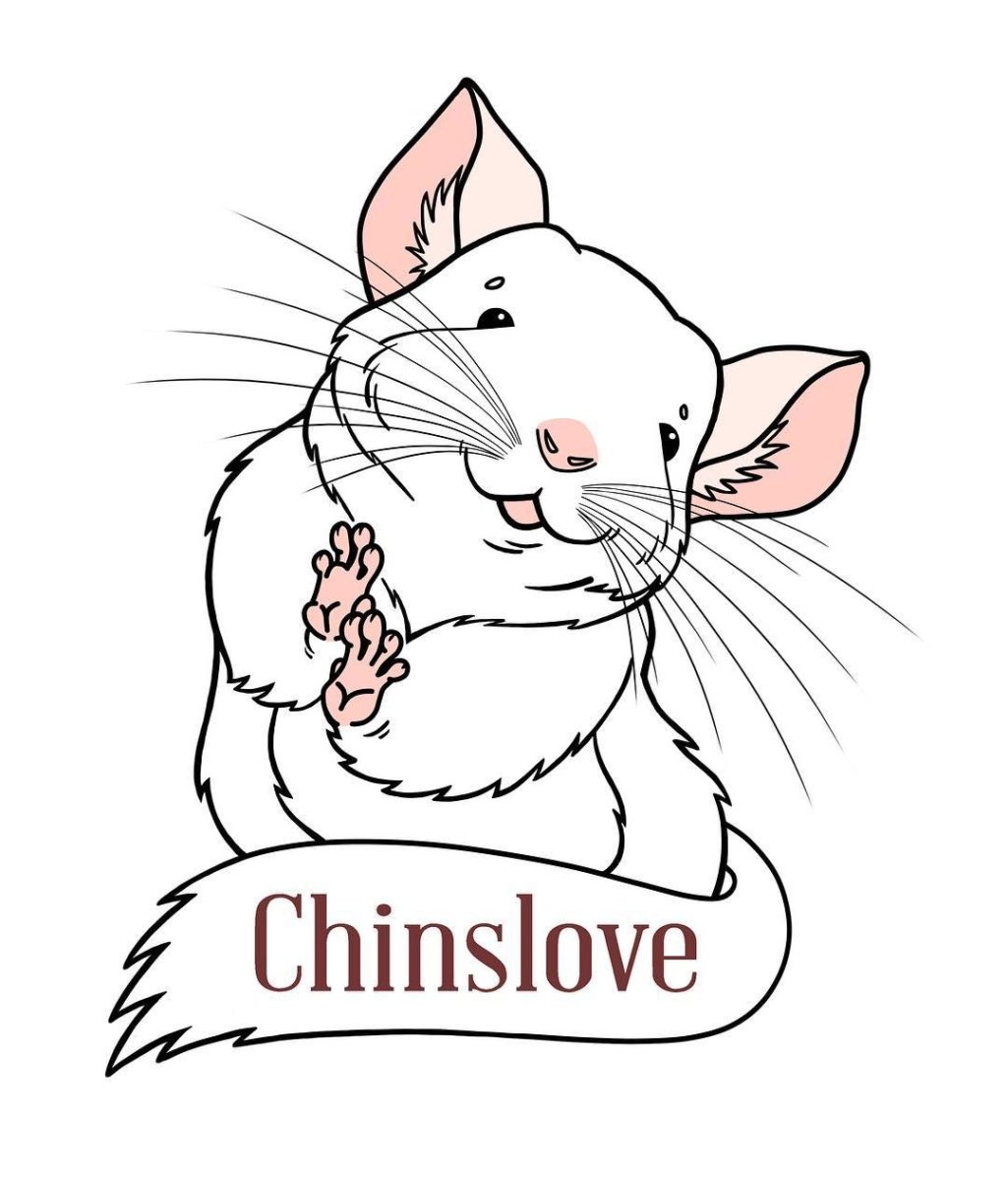 Шиншилла коричневый бархат