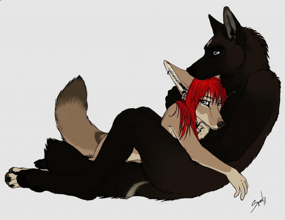 Девушка и волк аниме любовь