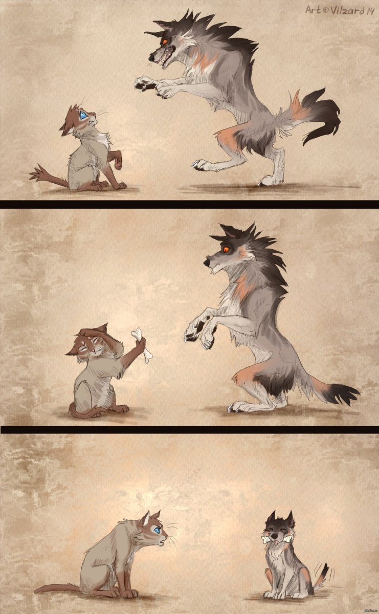 Смешной волк арт