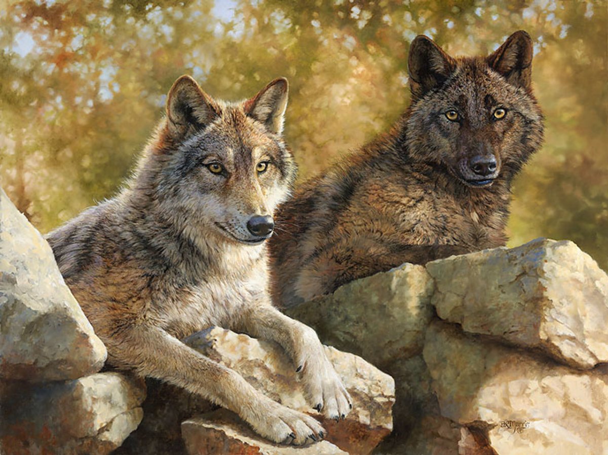 Бонни Маррис