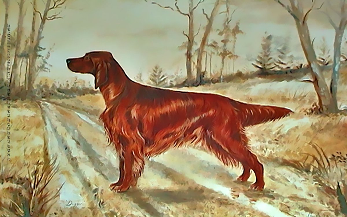 Французская такса