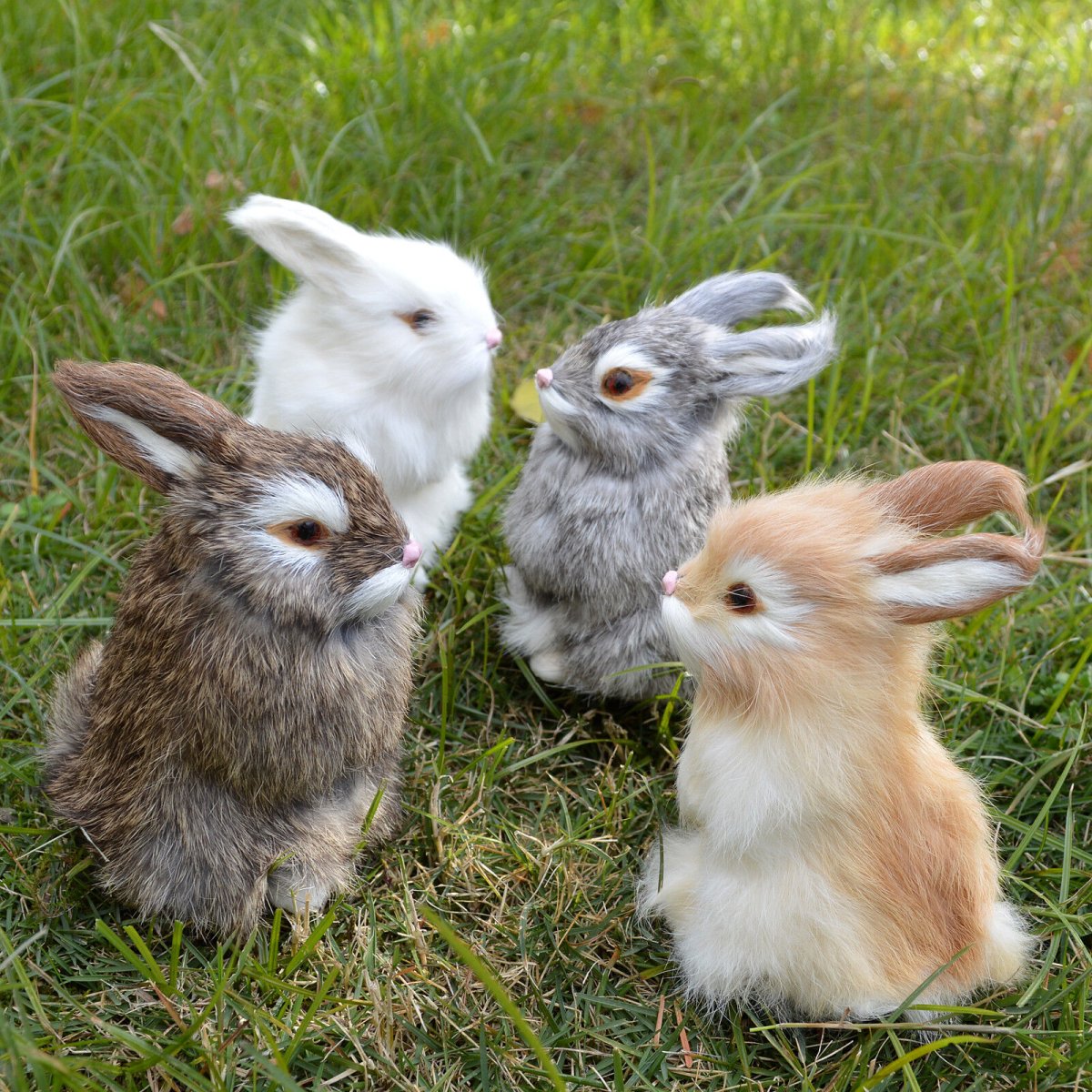 Кролик Альба