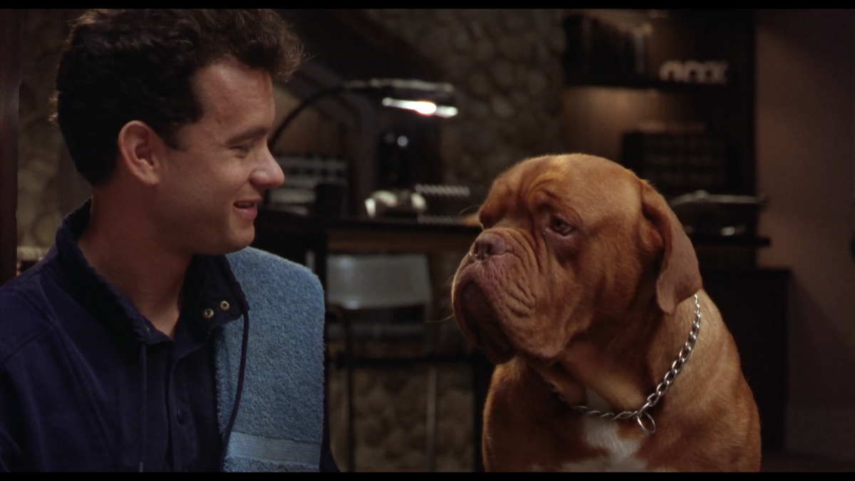 Тернер и Хуч собака