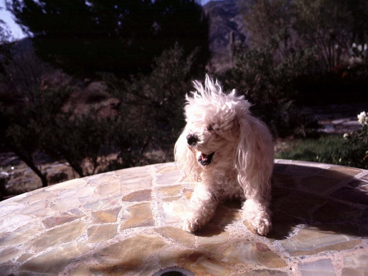 Курт Рассел кожаная куртка