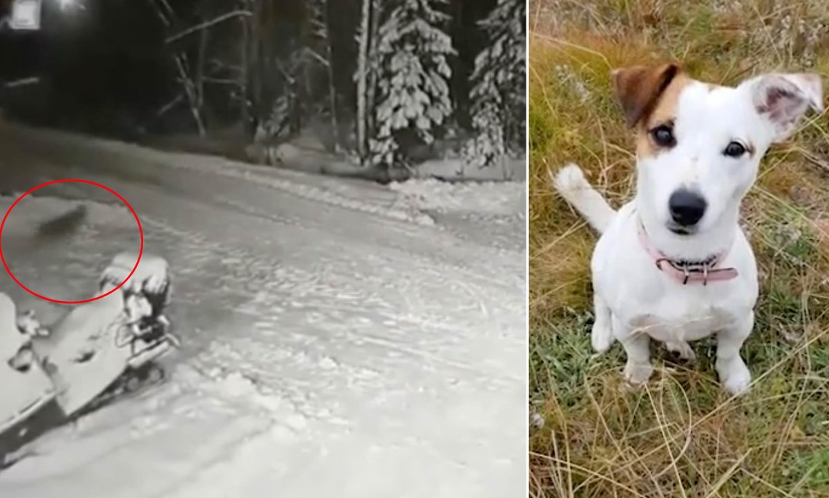 Курт Рассел Санта Клаус