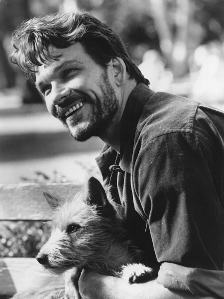 Джек-Рассел-терьер хвост