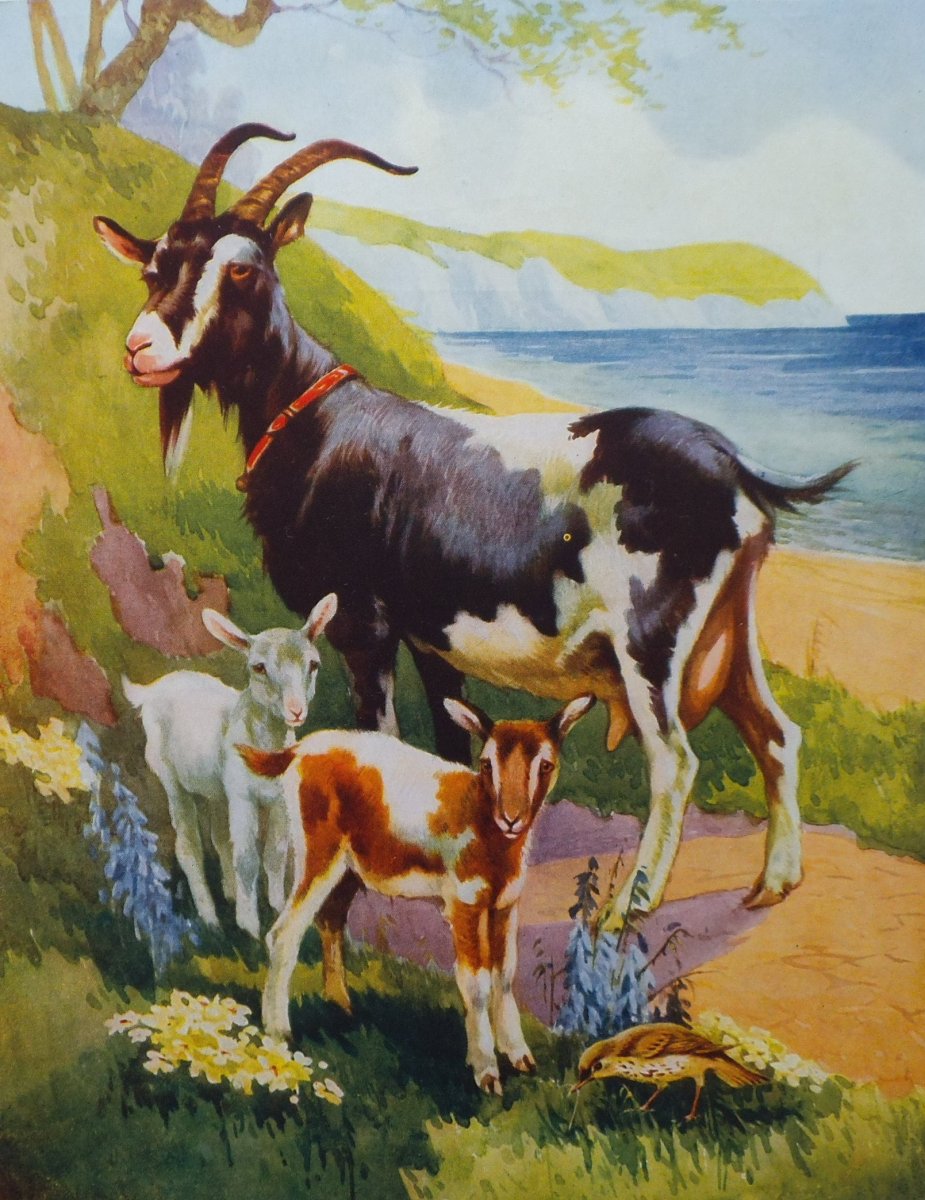 Картина коза с козлятами Веретенникова