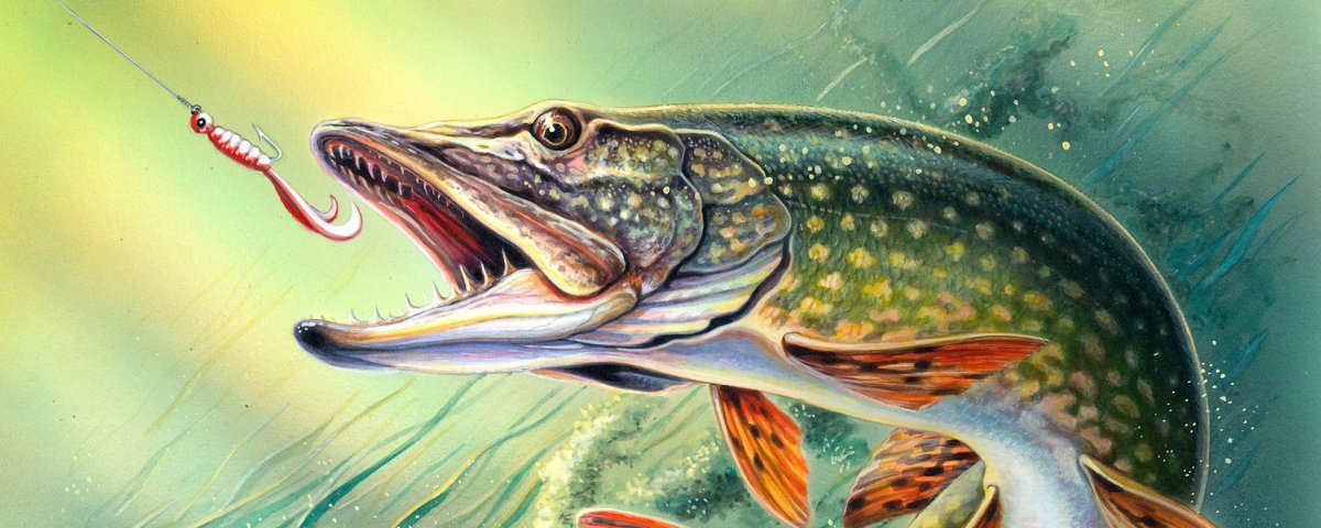 Классные арты щуки