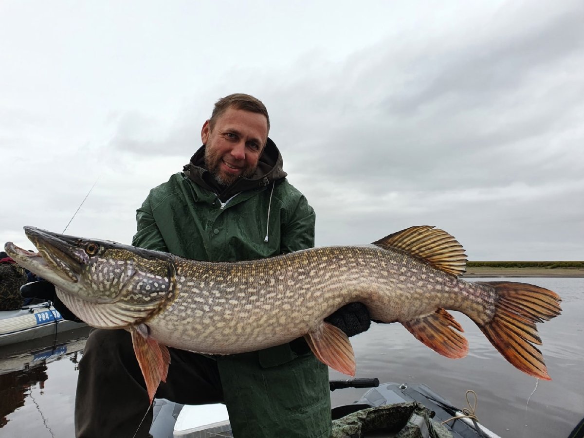 Щука американская красноперая