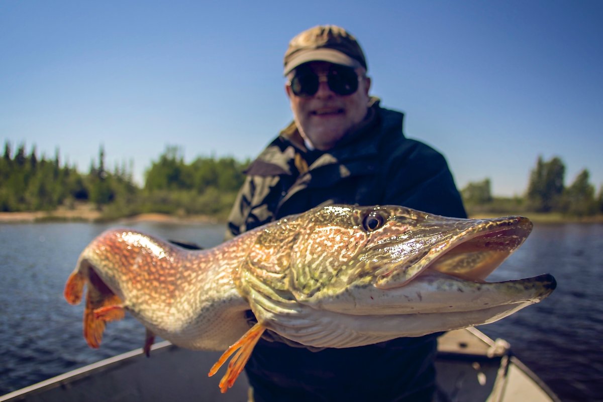 Рыбалка трофеи Таймень