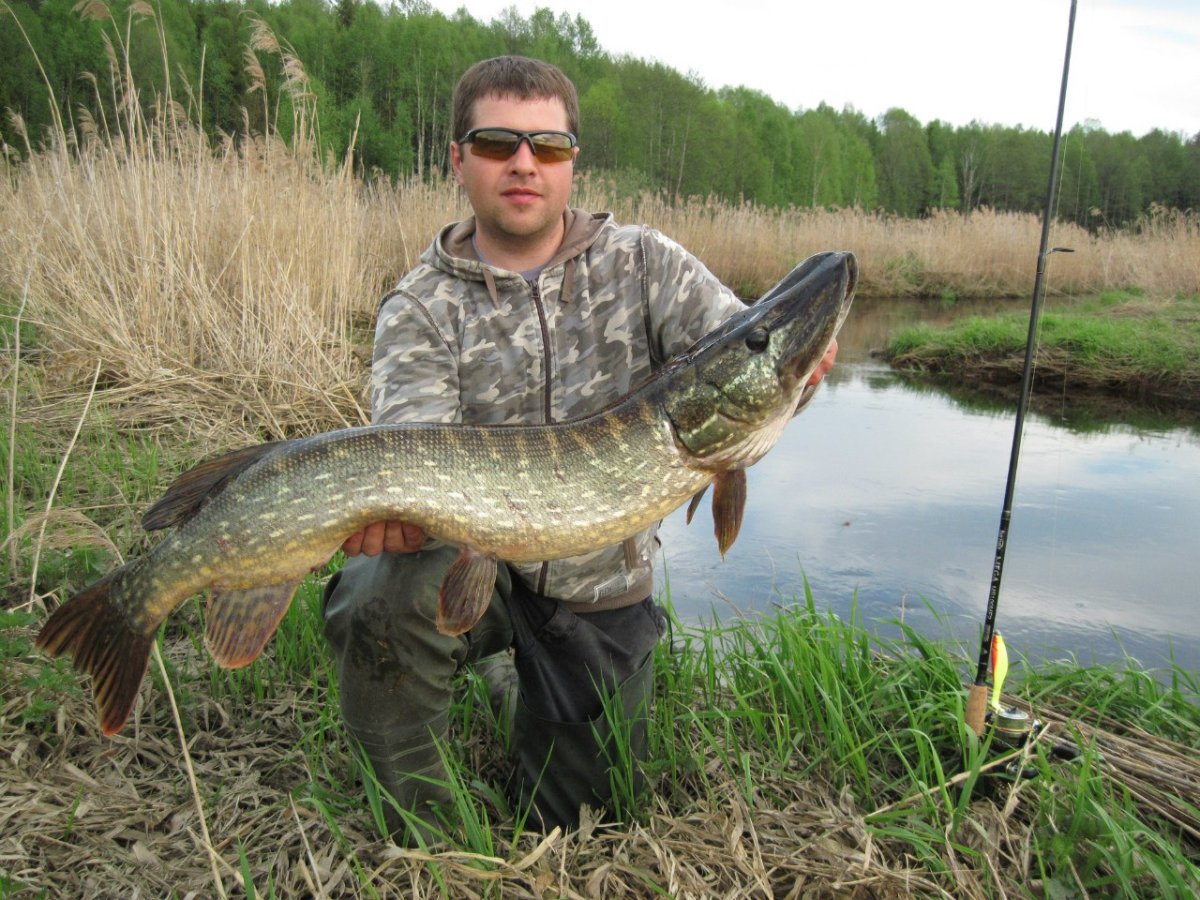 Рыбак с большой рыбой