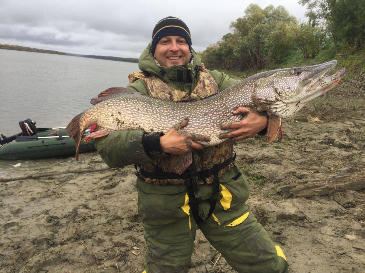 Река Иртыш рыбалка