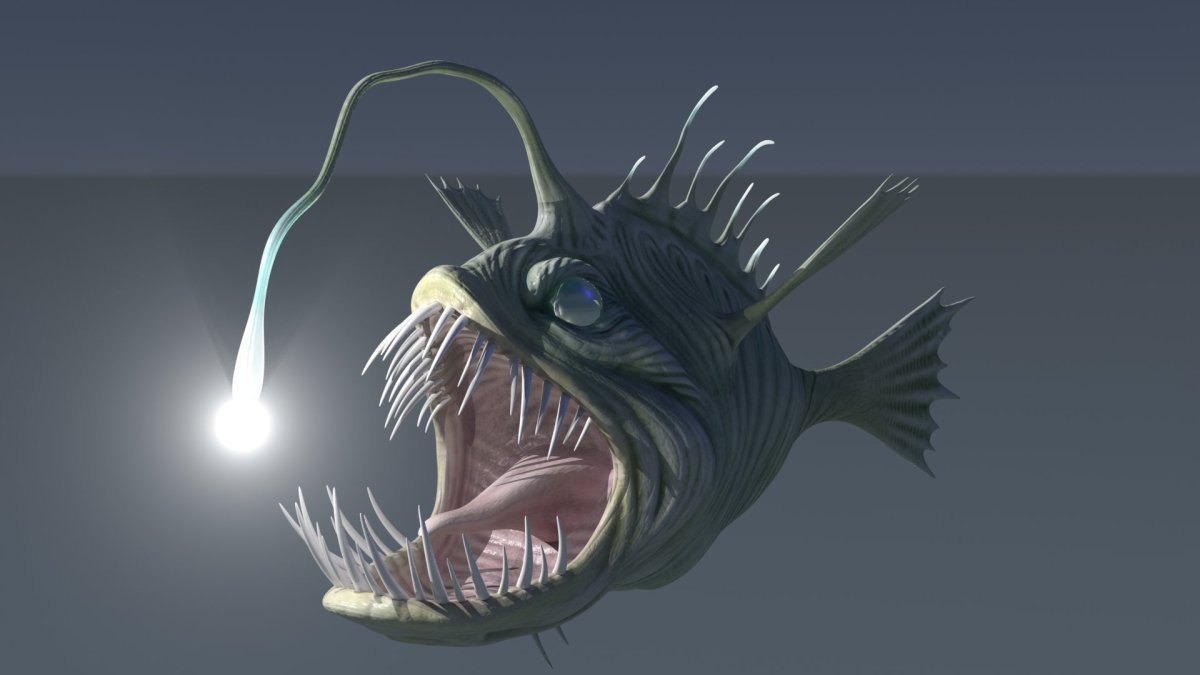 МЕГАЛОДОН В профиль