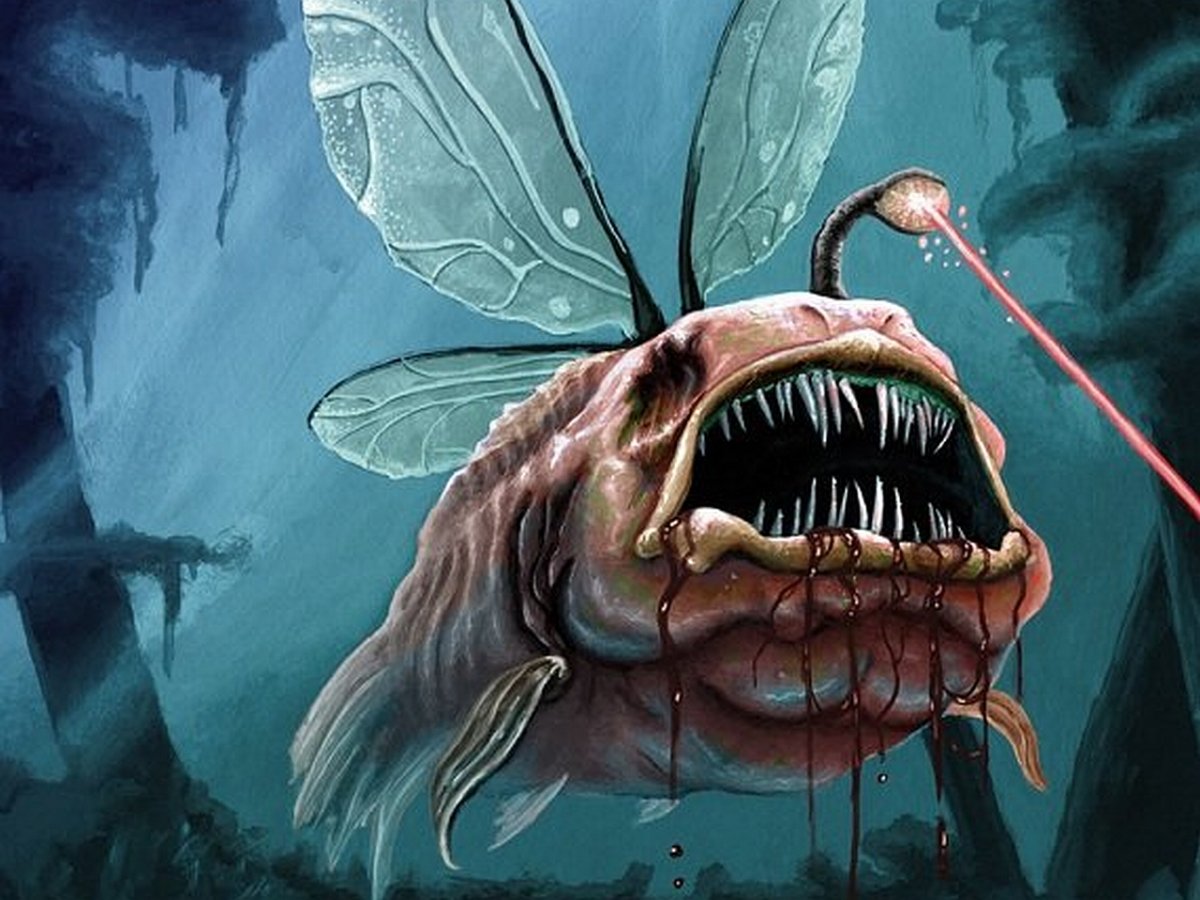 Акула Эстетика