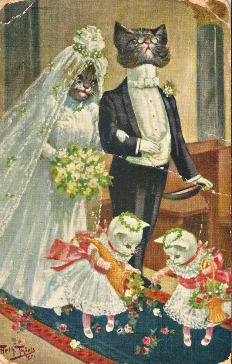 С днем свадьбы с котами