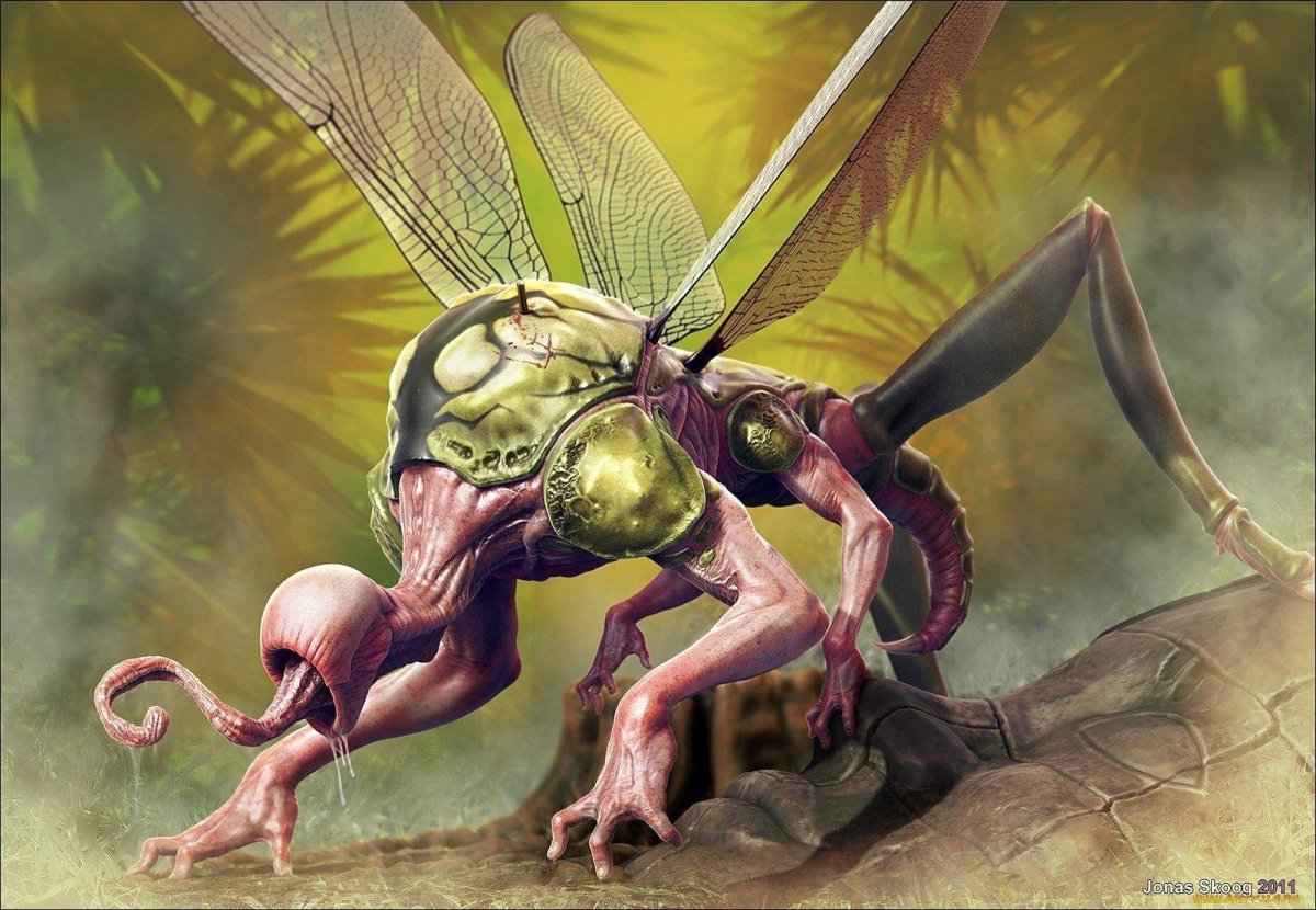 Муравьи рабы