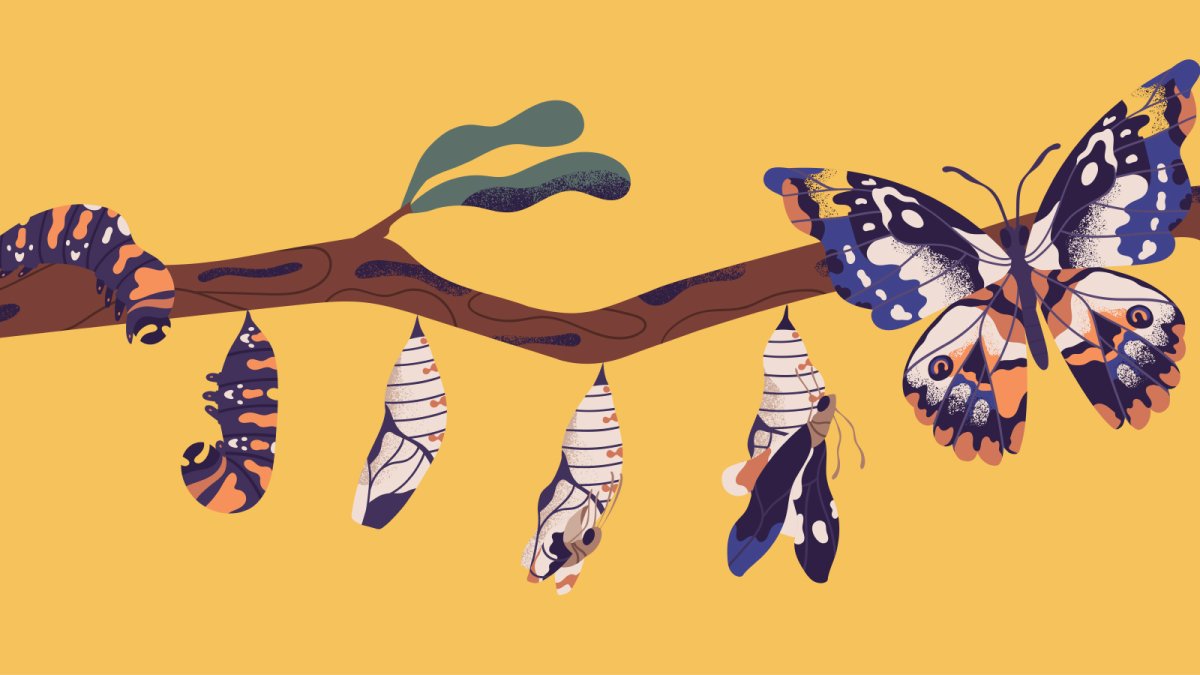 Превращение гусеницы в бабочку арт