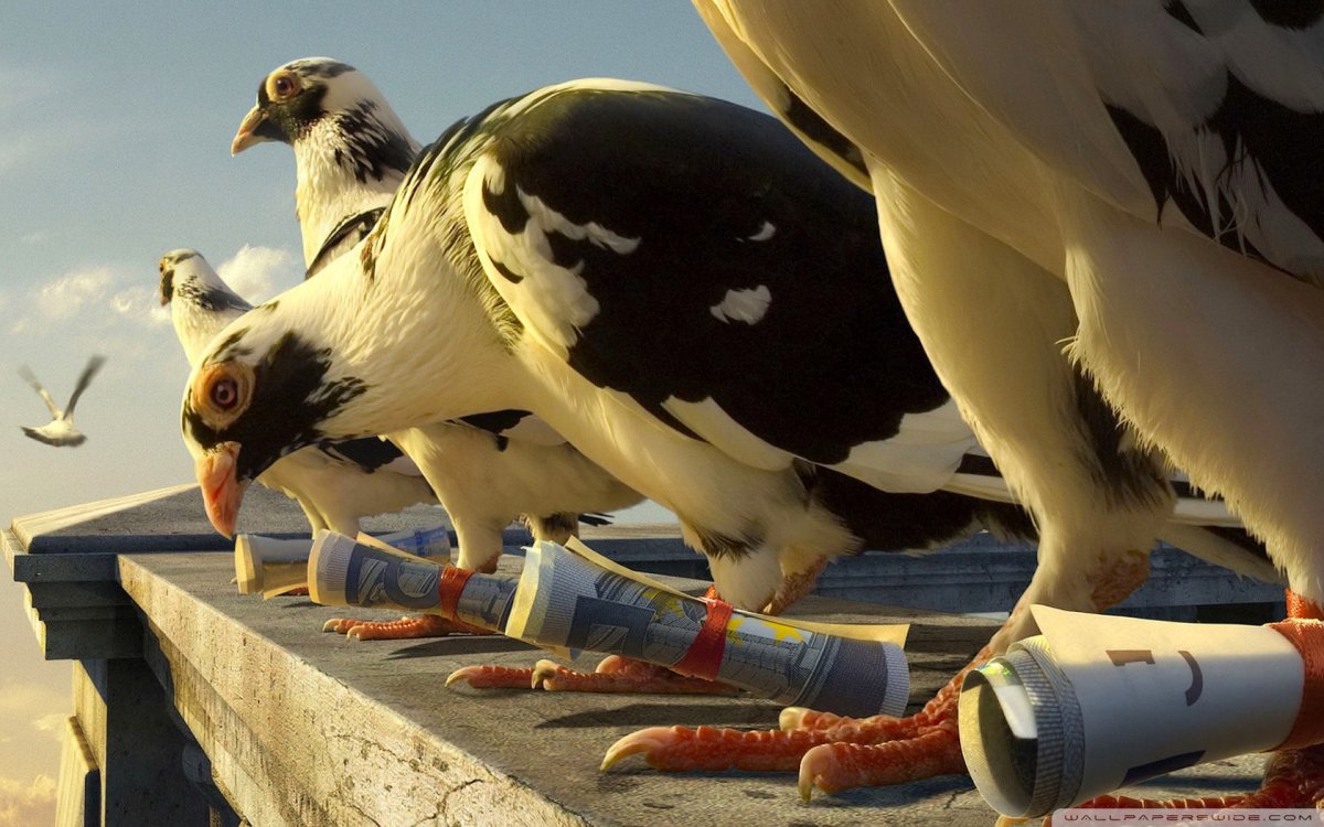 Голубиная почта