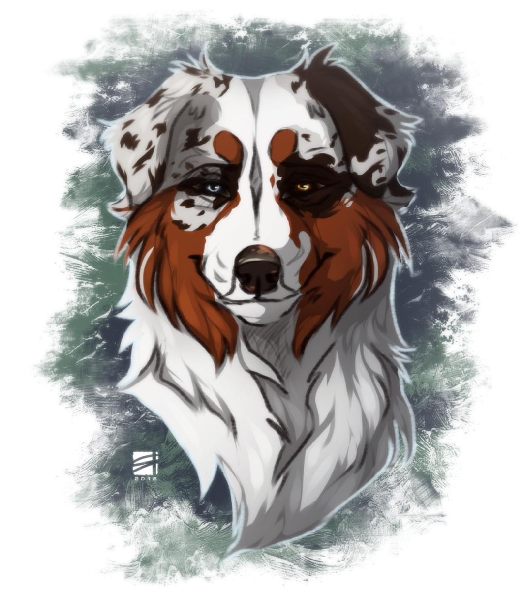 Померанский шпиц jiffpom