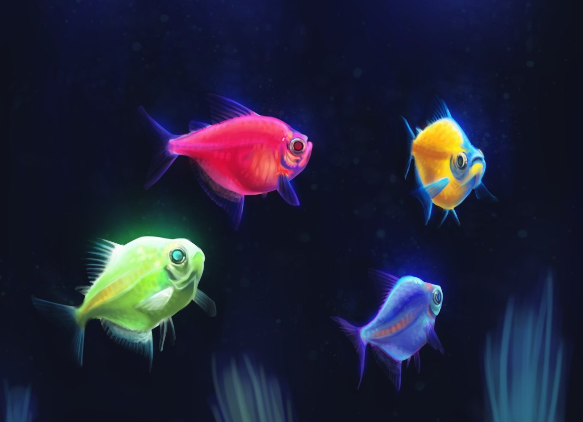 Мальки данио глофиш