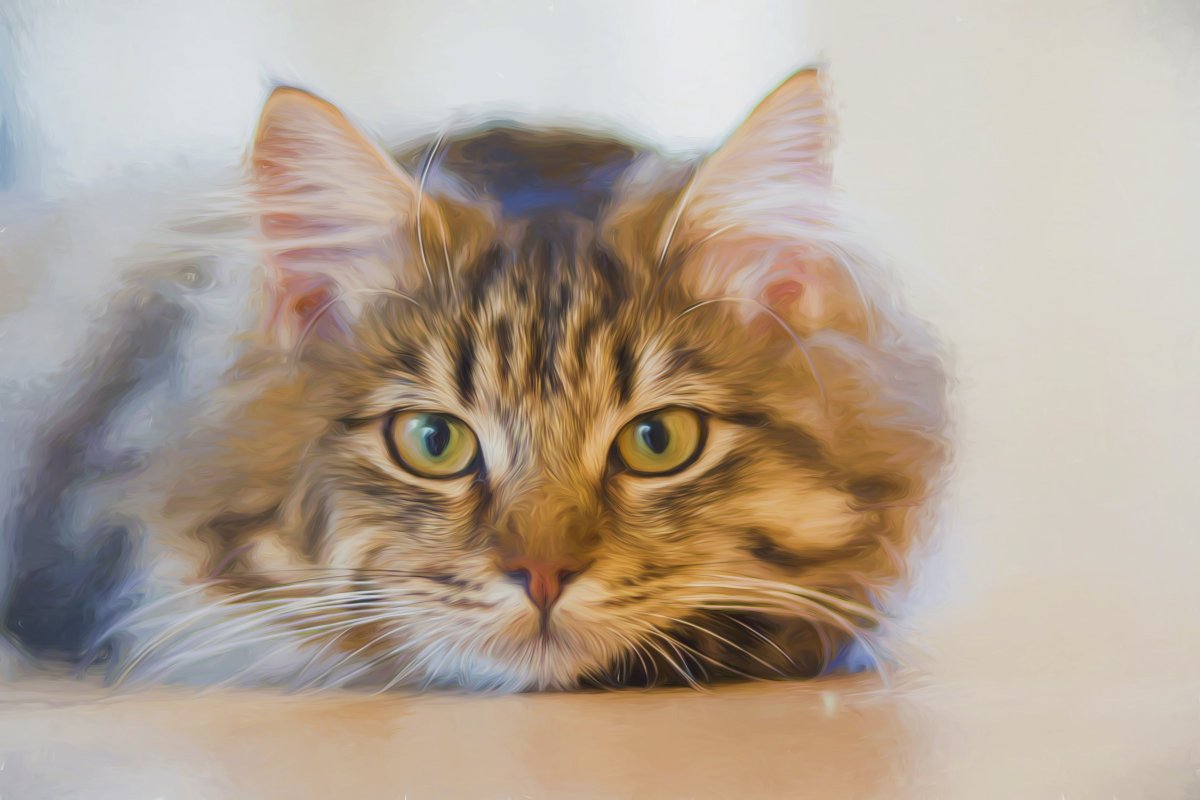 Суни Дуни дори