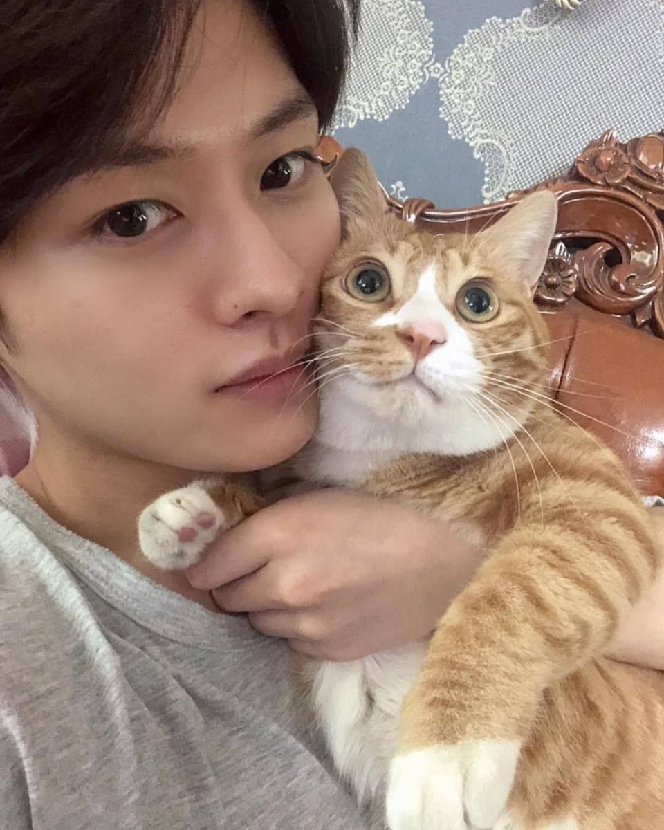 Кот охотится глаза