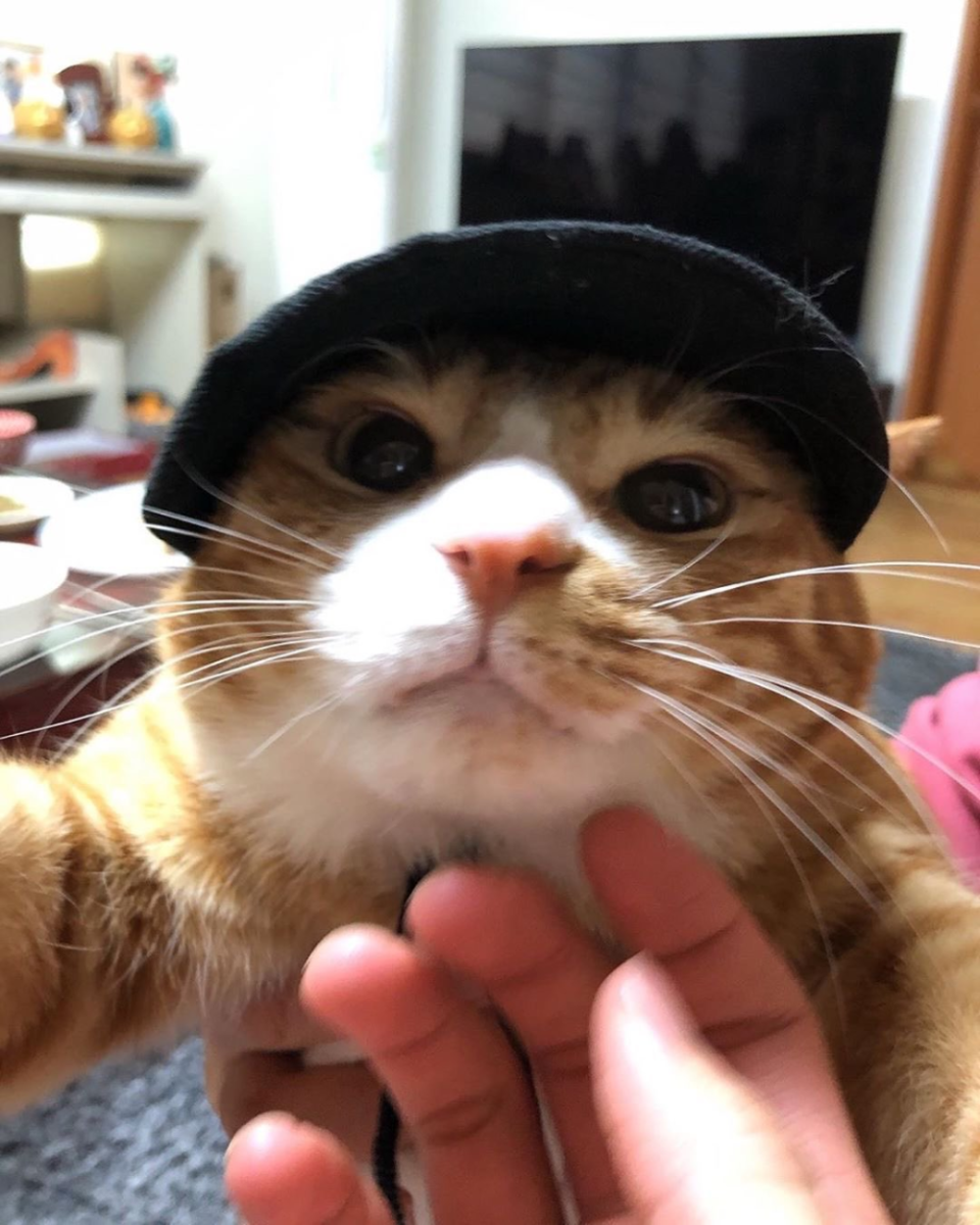 Не пытайся понять то что не можешь понять