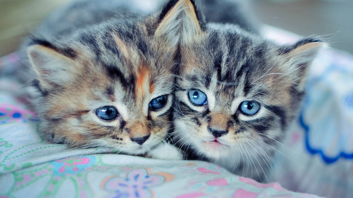 Картинки с надписями