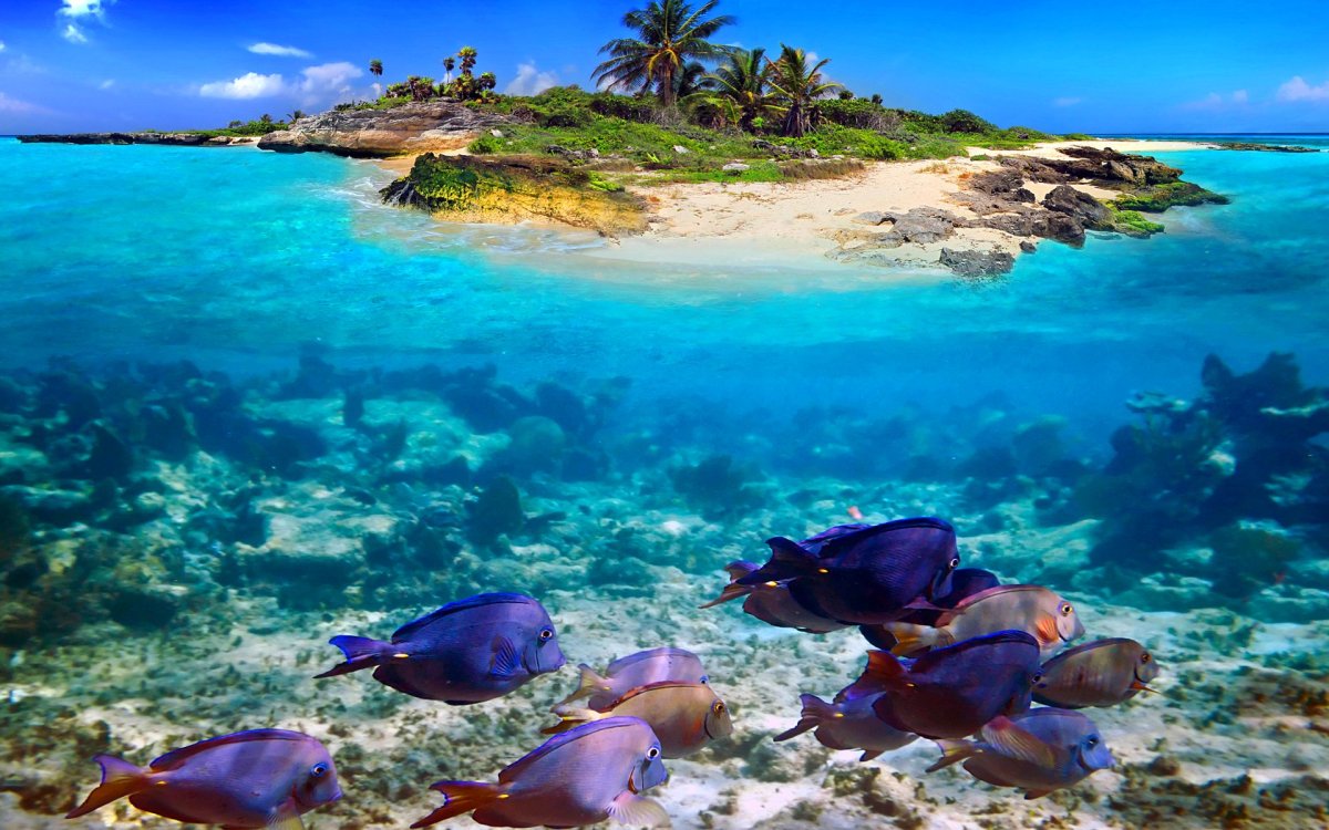 Морское дно