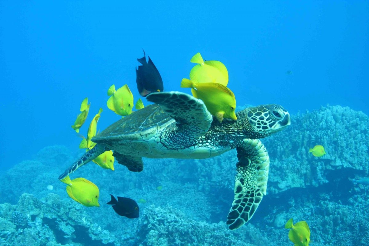 Национальный морской парк Закинфа