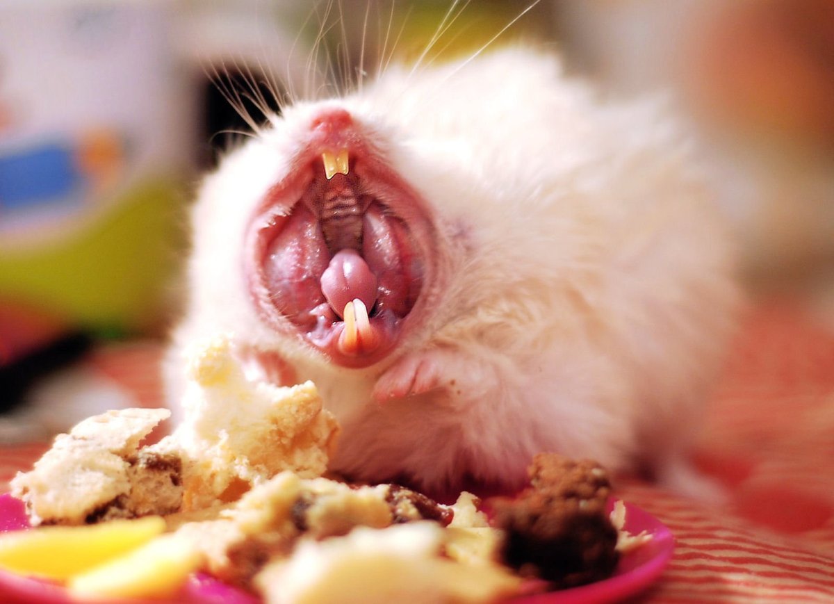 Хосок смешной