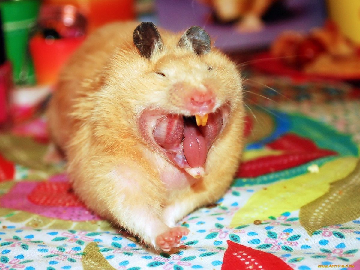 Кира Жоссан