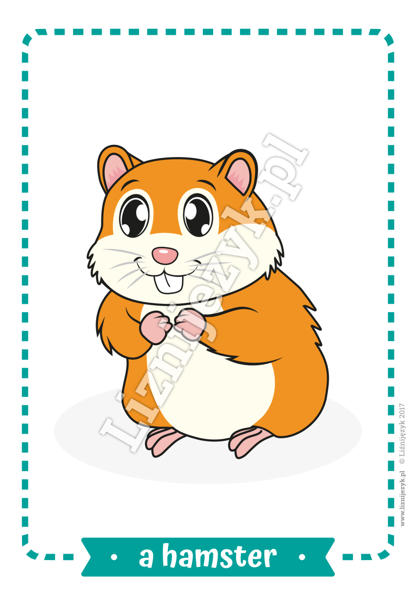 Милые крыски