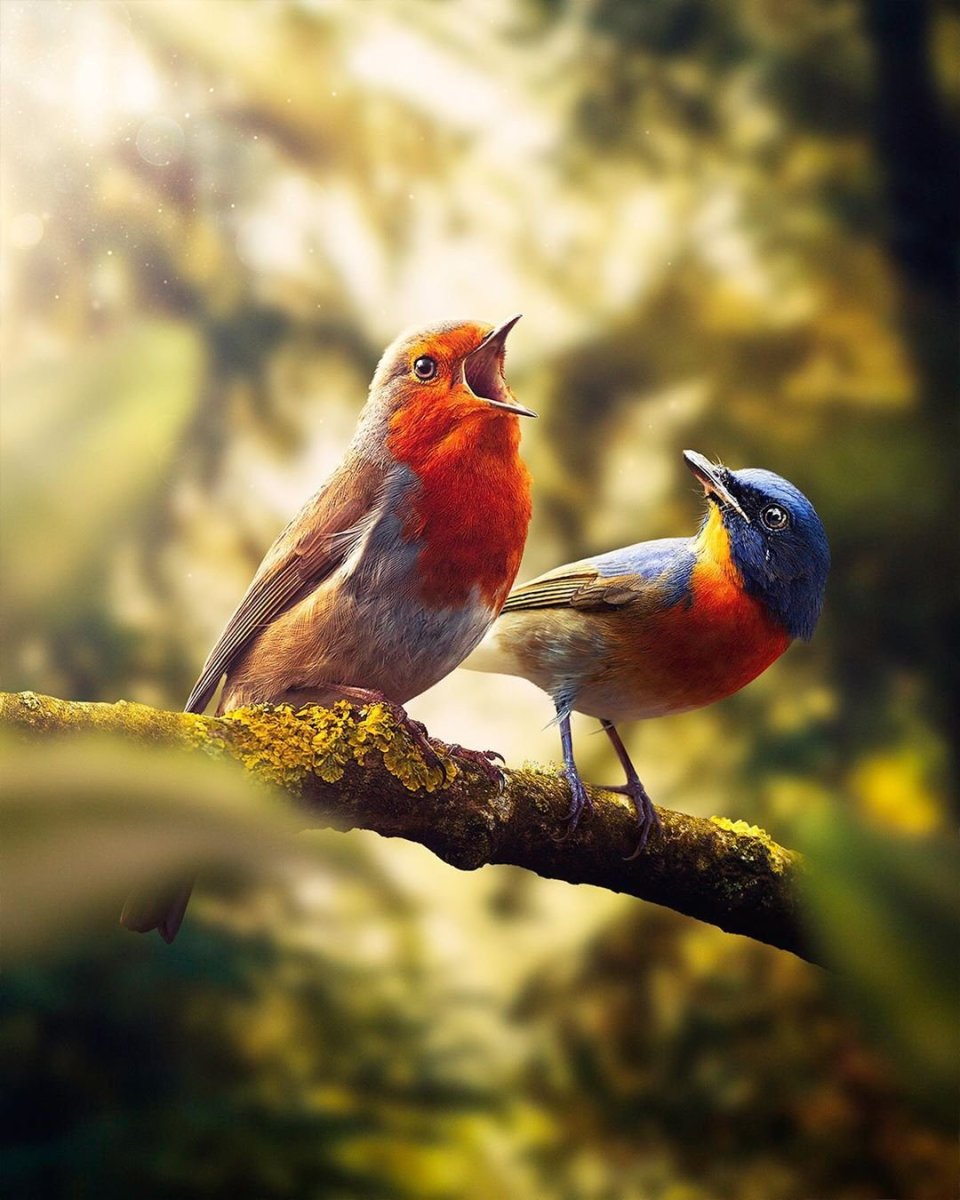 Птица на ветке