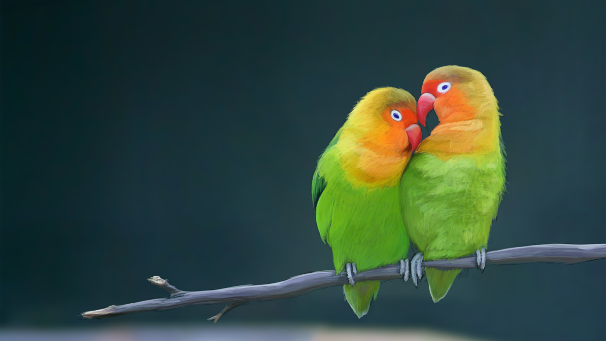 Неразлучники обои