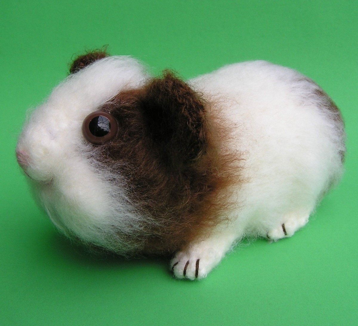 Смешные морские свиньи