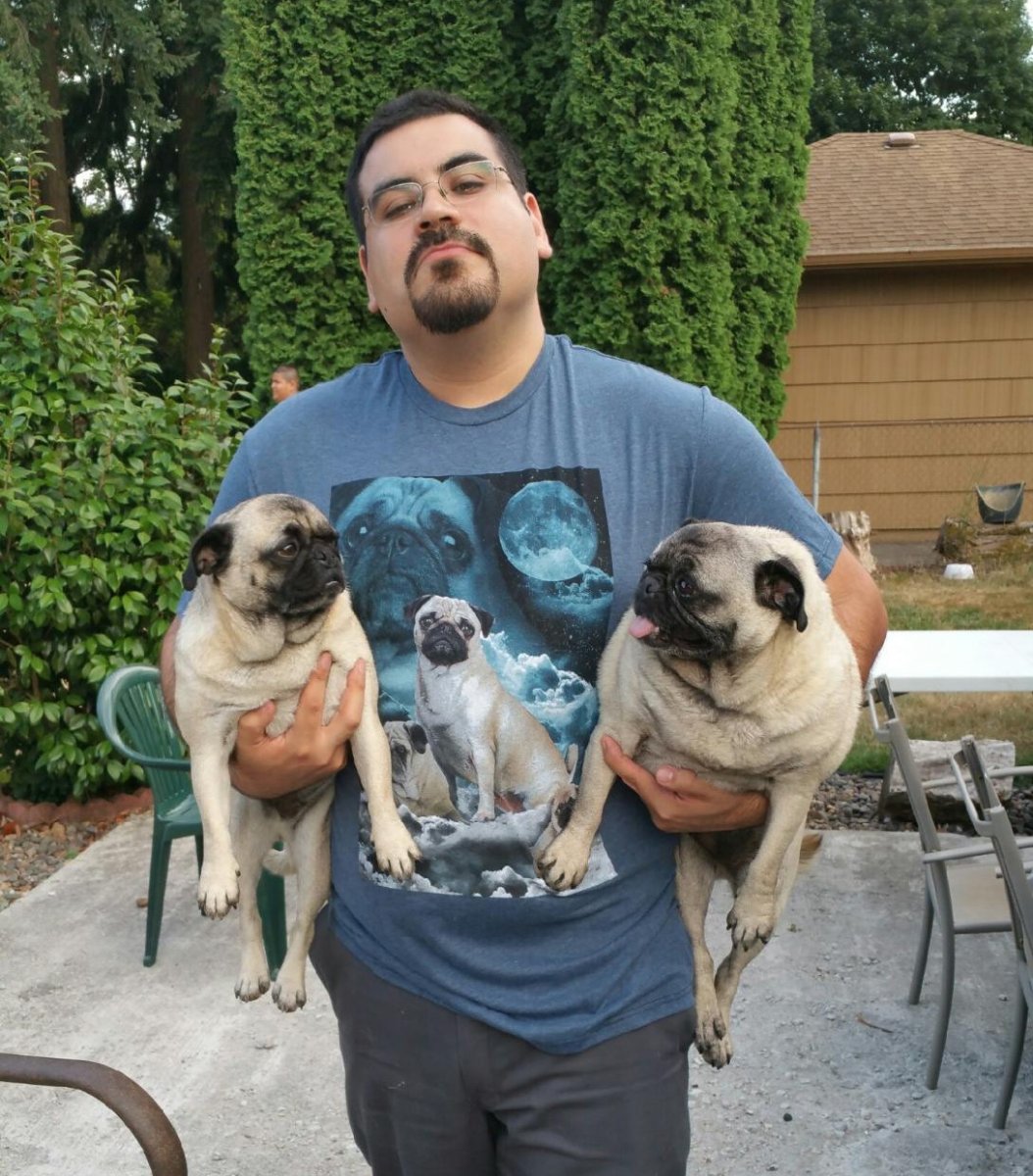 Мопс на руках