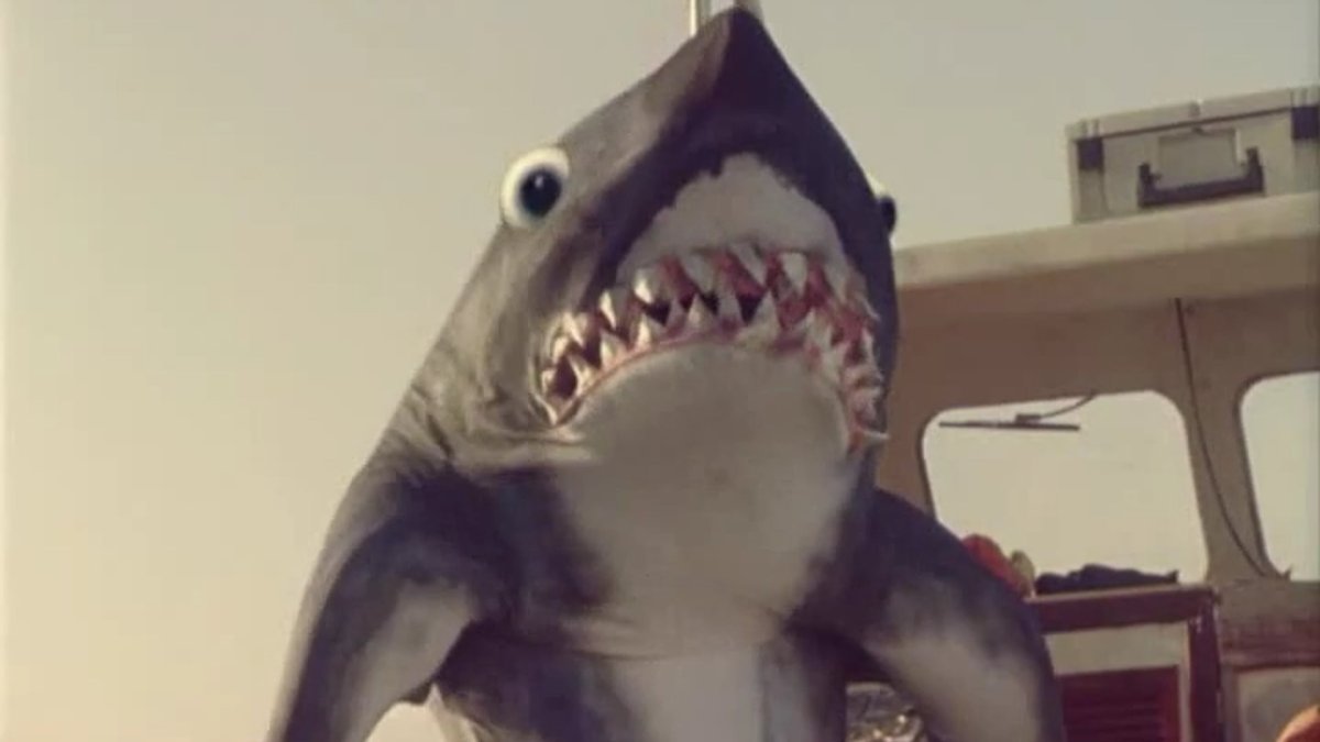 Акулы и скаты