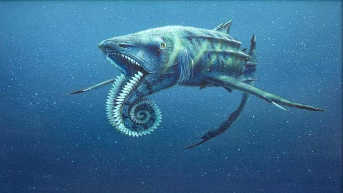 Геликоприон акула череп