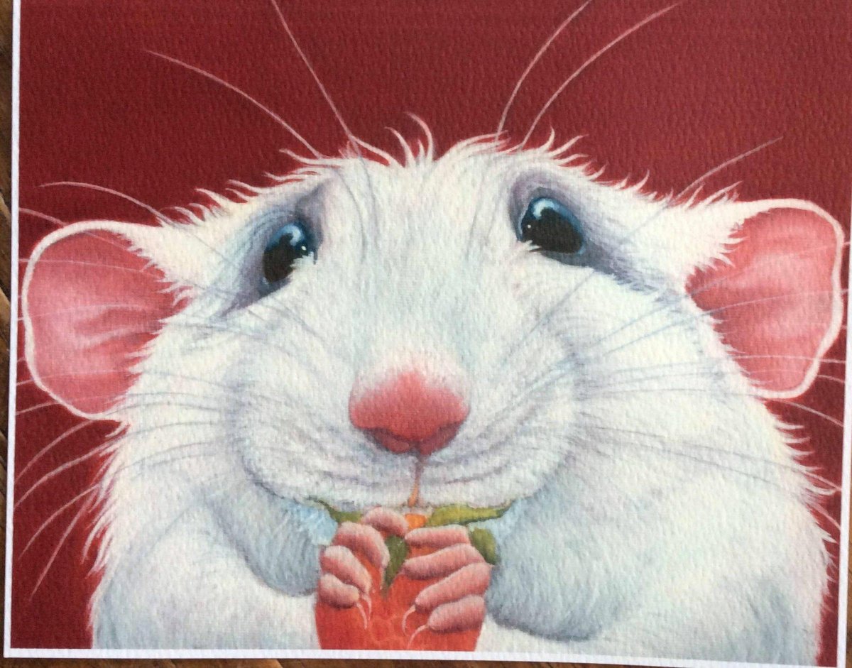 Крыса рисунок