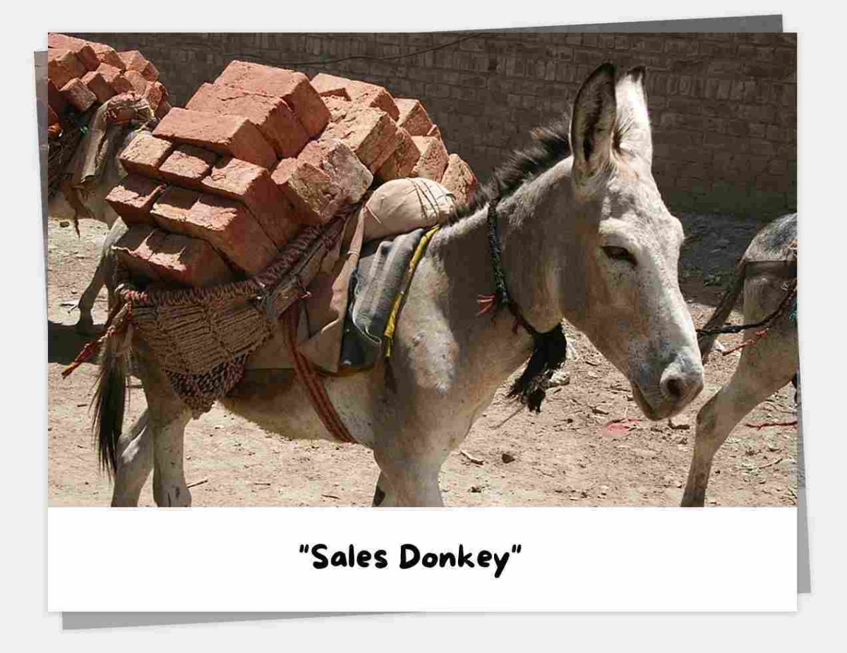 Вьючный ослик