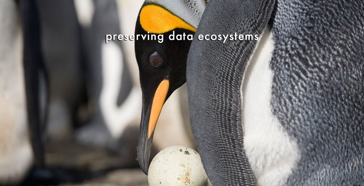 Новорожденный Пингвин