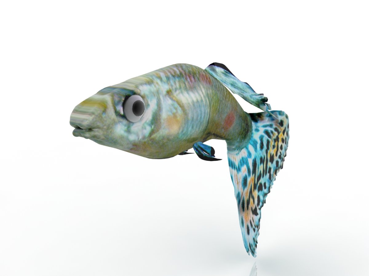 Модель рыбки