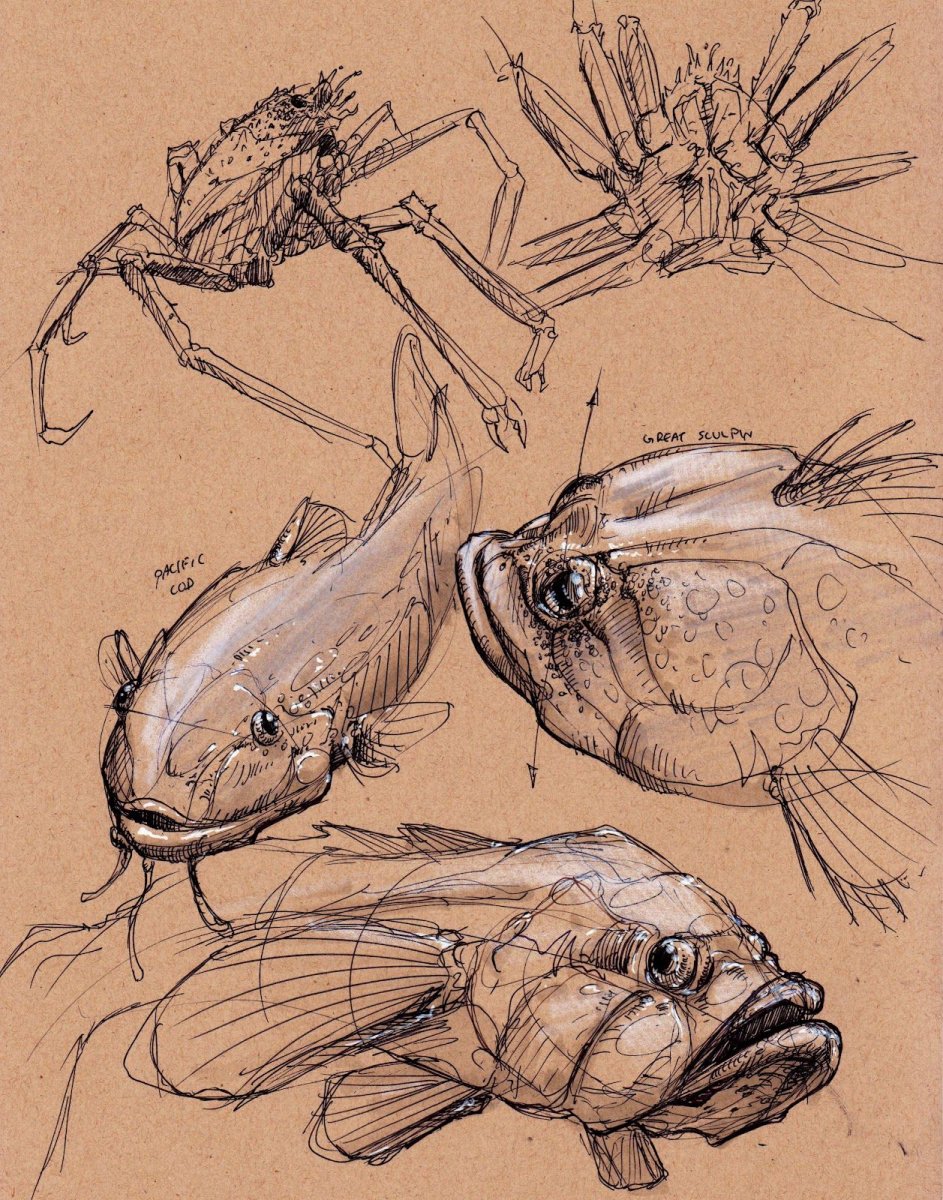 Рыба с разных ракурсов