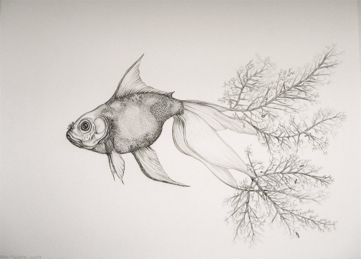 Необычная рыба скетч