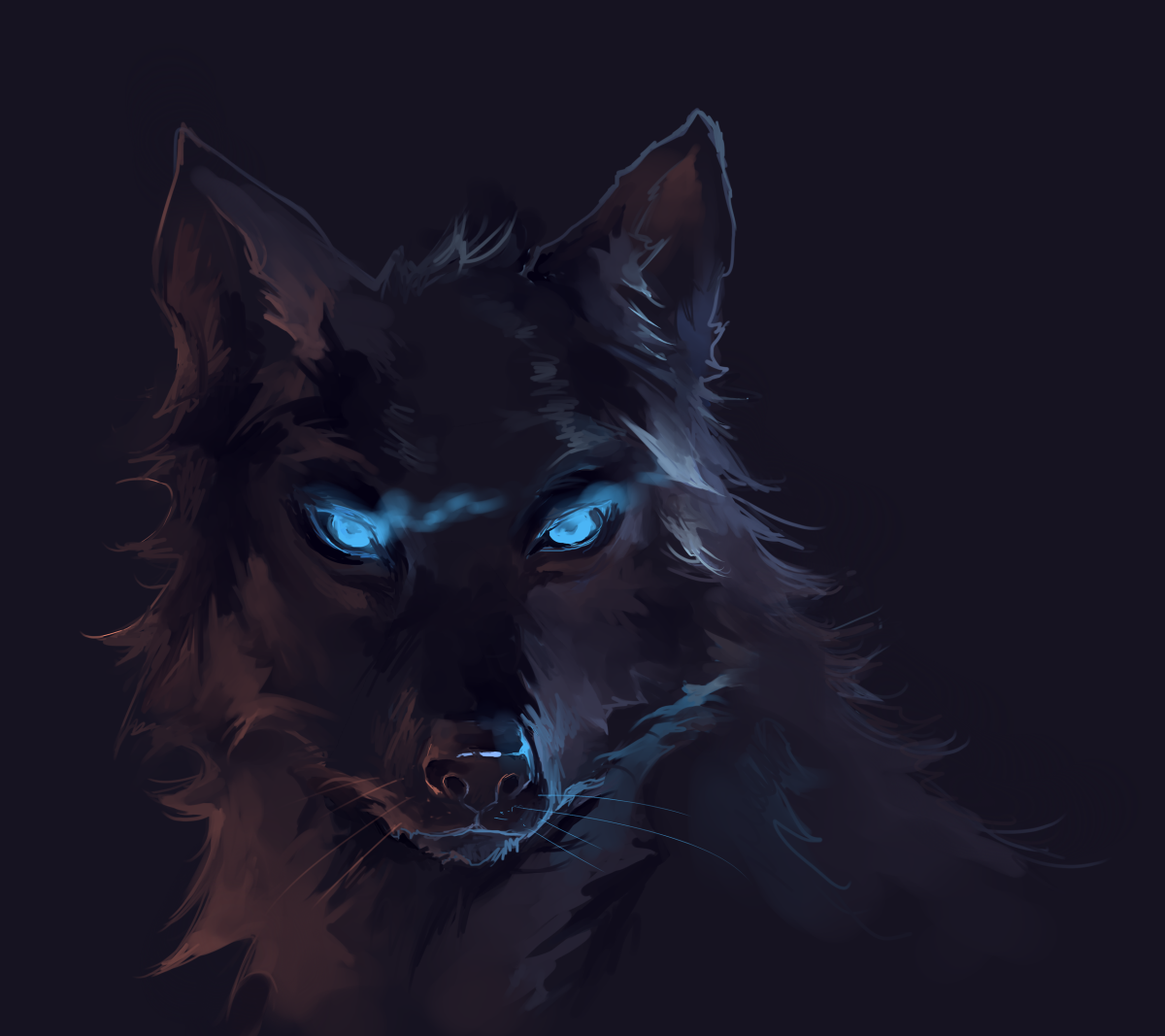 Черный волк с голубыми глазами